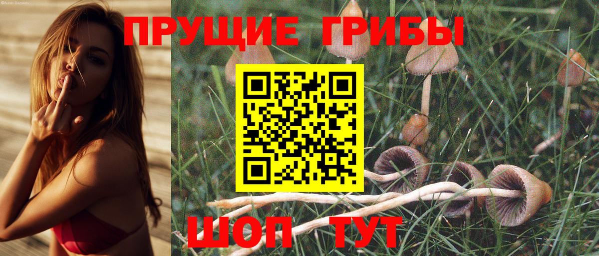 Галлюциногенные грибы MAGIC MUSHROOMS  Вход с VPN  наркошоп  Камышлов 